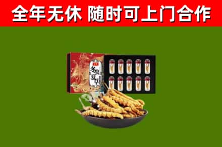 昂昂溪区回收冬虫夏草价格